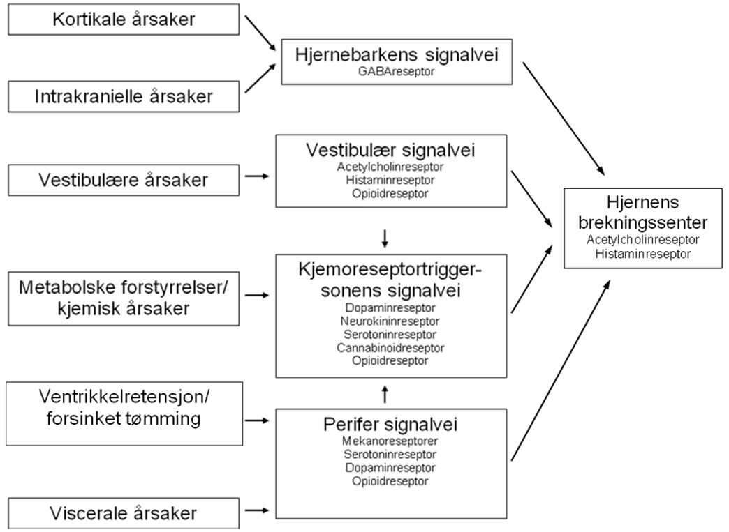 Palliasjon I Kreftomsorgen - Handlingsprogram - Helsebiblioteket